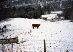 Scotland (1999)001